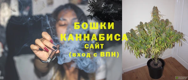 мяу мяу мука Вяземский