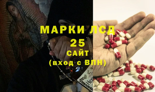 PSILOCYBIN Вязники