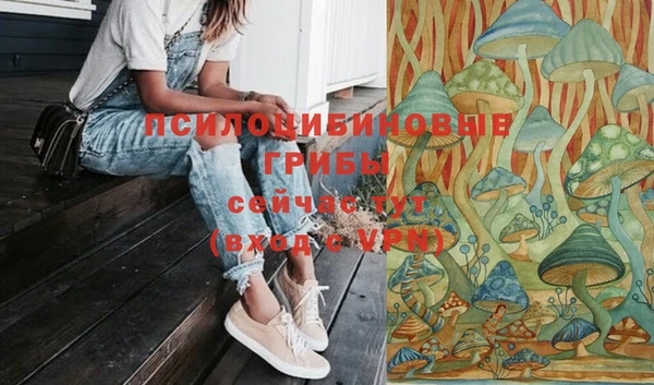 PSILOCYBIN Вязники