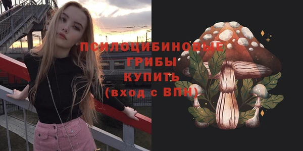PSILOCYBIN Вязники